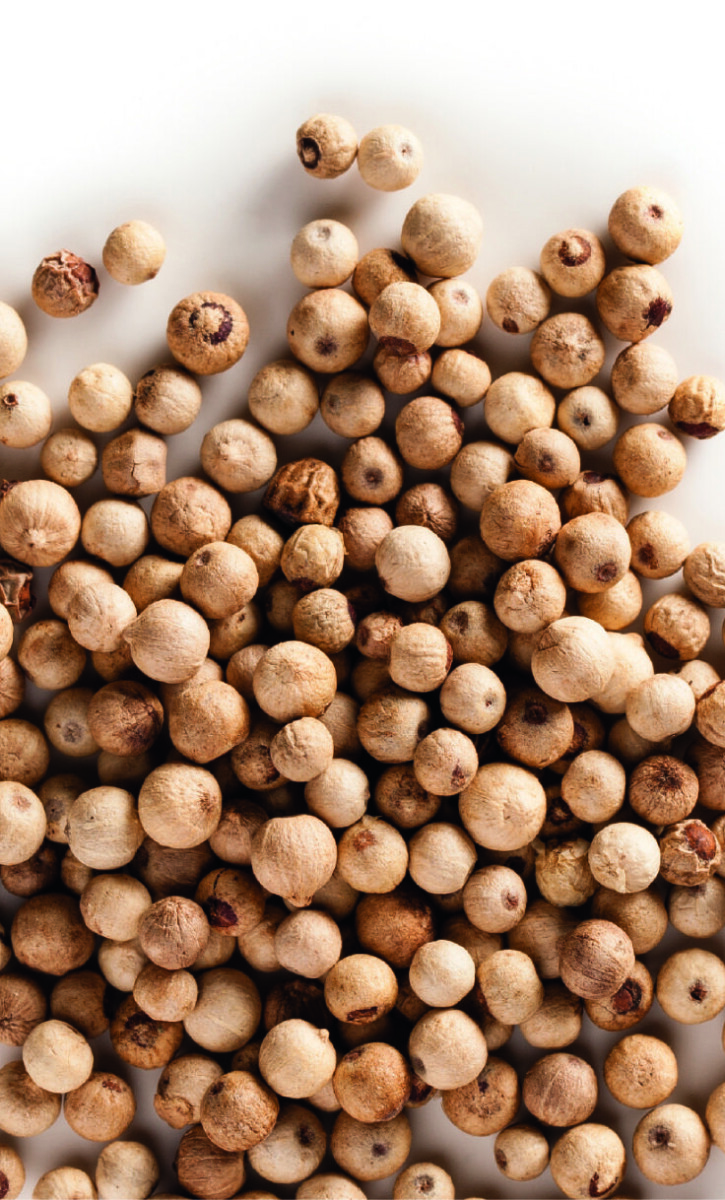 Jardinage urbain pot