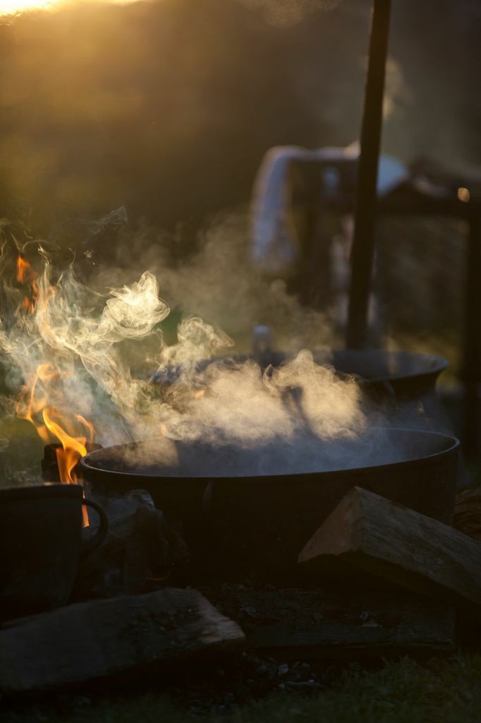 Sandre poêlé photographie