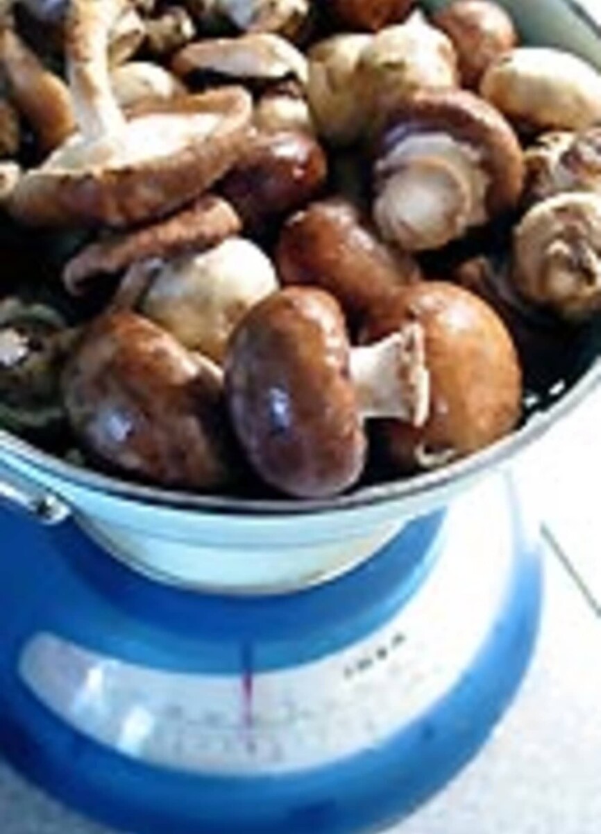 Potée lorraine photo culinaire