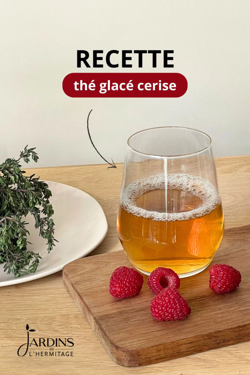 Thé glacé maison recette visuel
