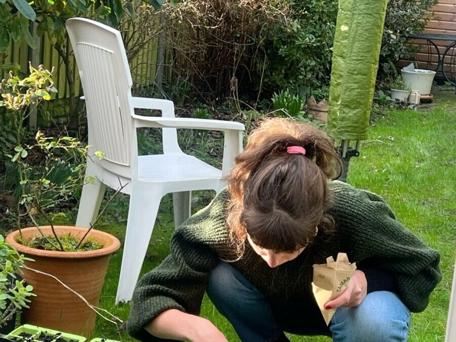 Entretien de jardin : service à la personne pour un extérieur impeccable