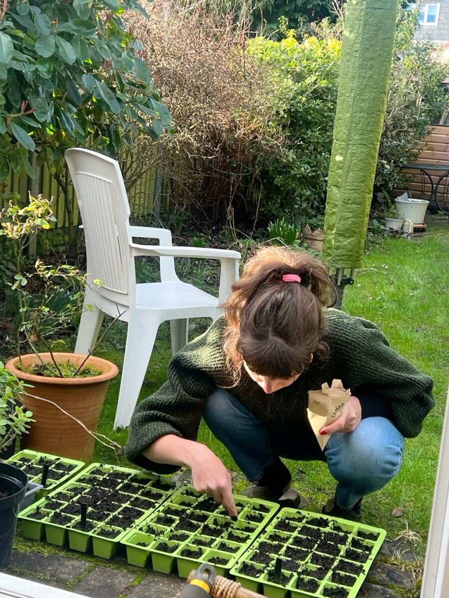 Entretien de jardin impeccable