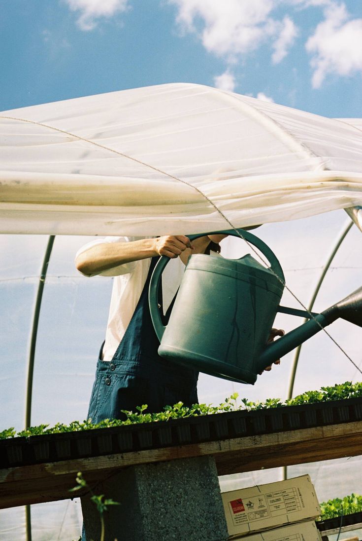 Entretien de jardin impeccable