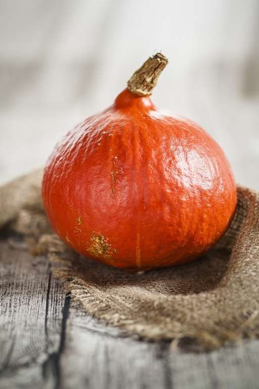 potimarron farci recette végétarienne