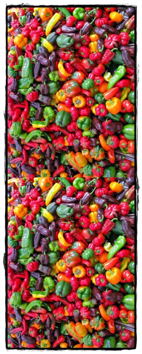 épices pour légumes méditerranéens