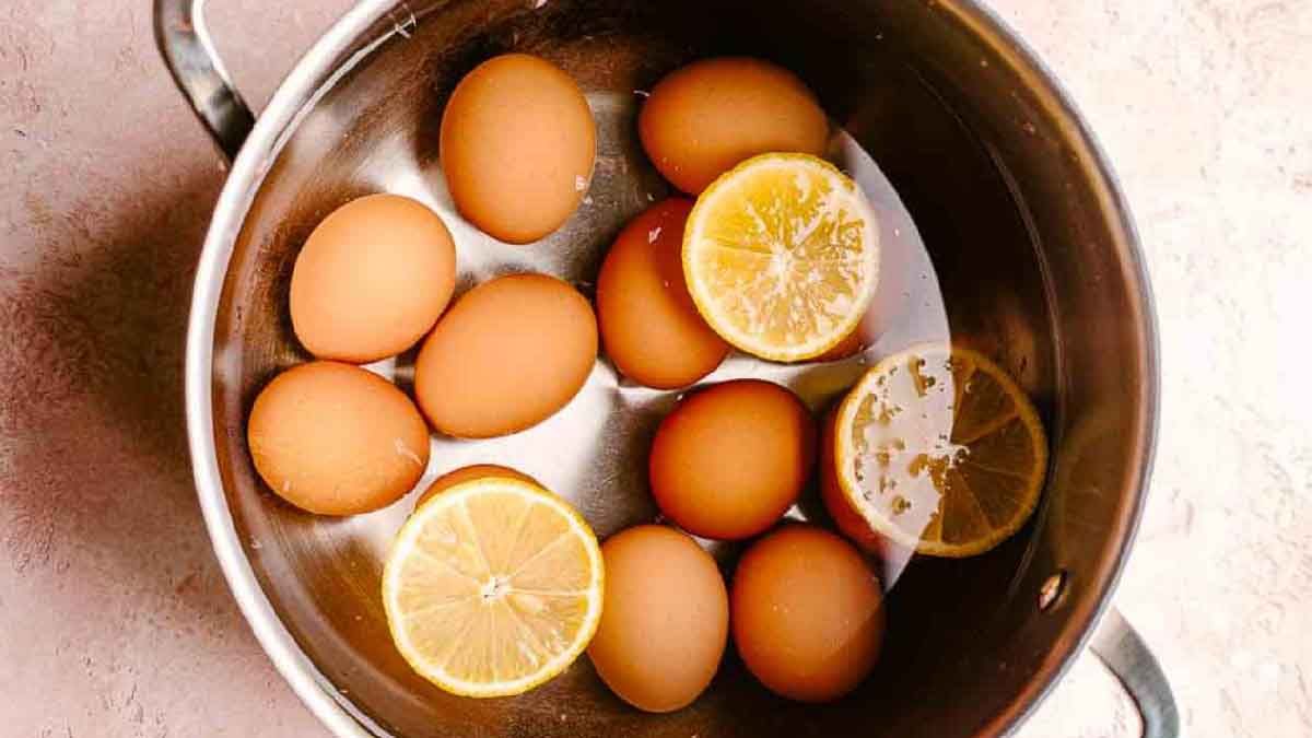 cuisson optimale œufs durs