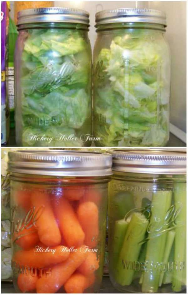 Techniques conservation légumes