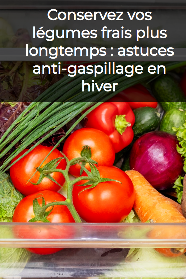 Techniques conservation légumes