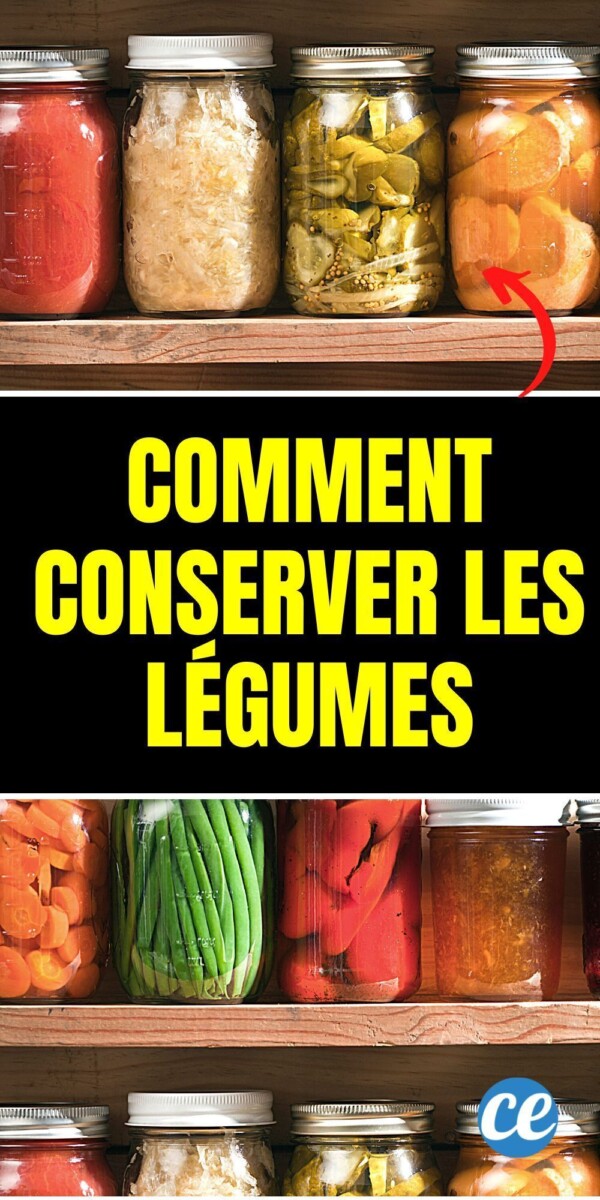 Astuces conservation légumes