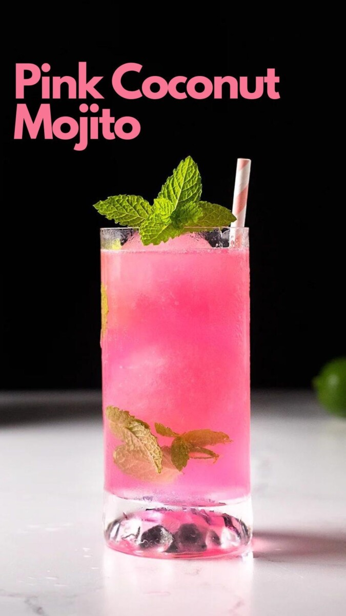 shaker Cocktails Citadelle