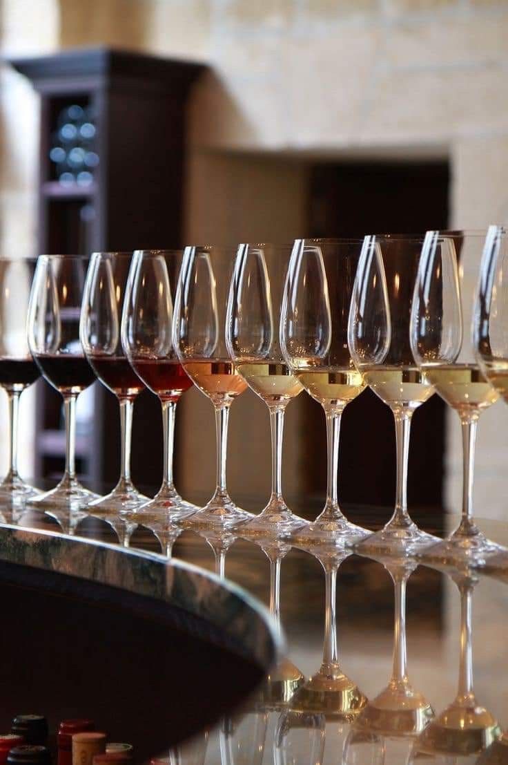 idéal verre de dégustation
