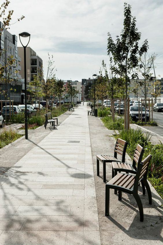 cultiver poivrier urbain