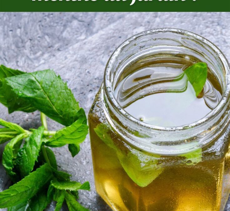 300 ml en g : Sirop de menthe rafraîchissant