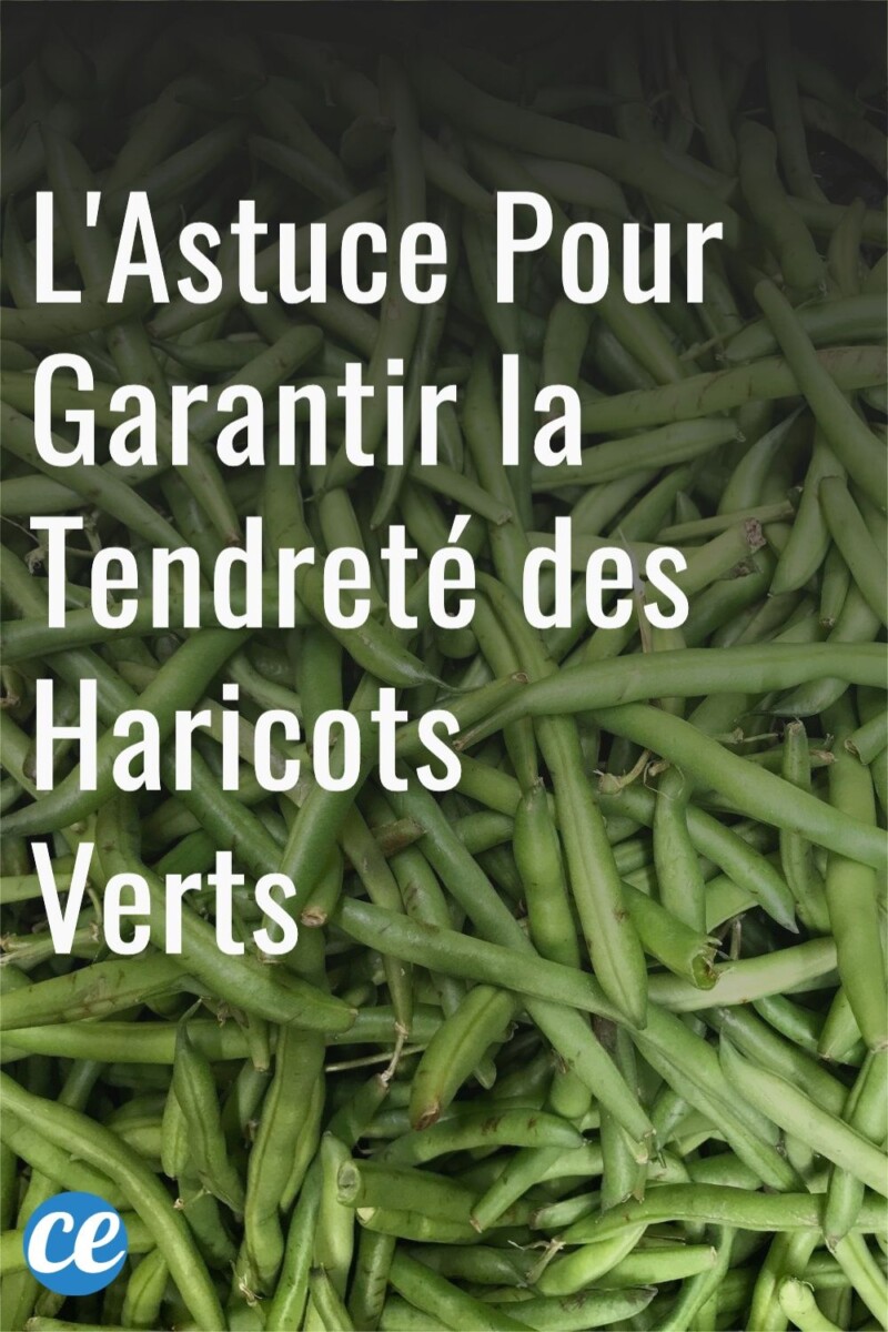 Temps optimal haricots verts