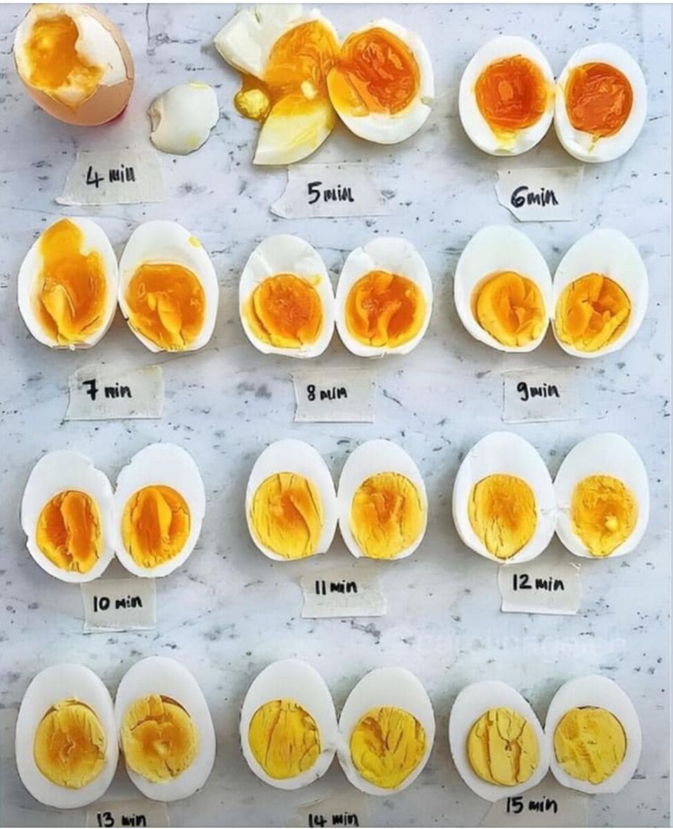 Temps cuisson oeuf petit